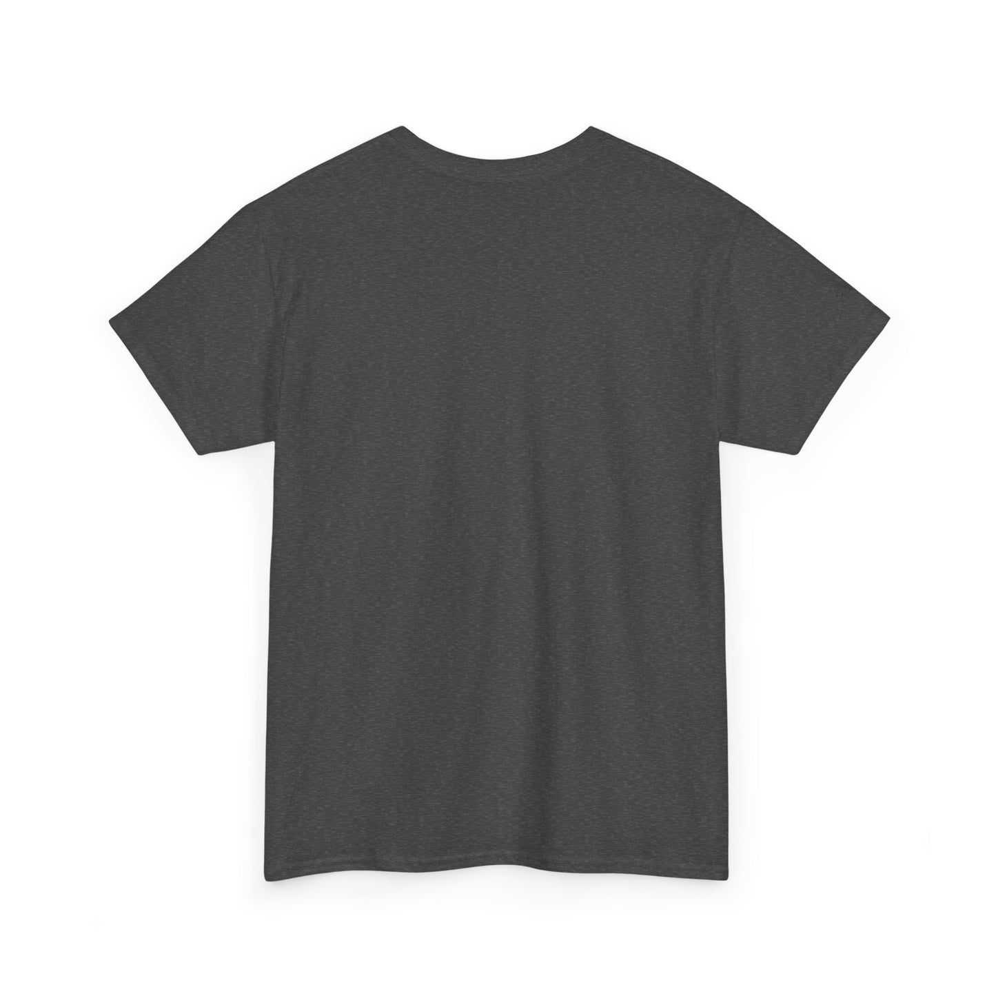 I Believe UFO Unisex Tee