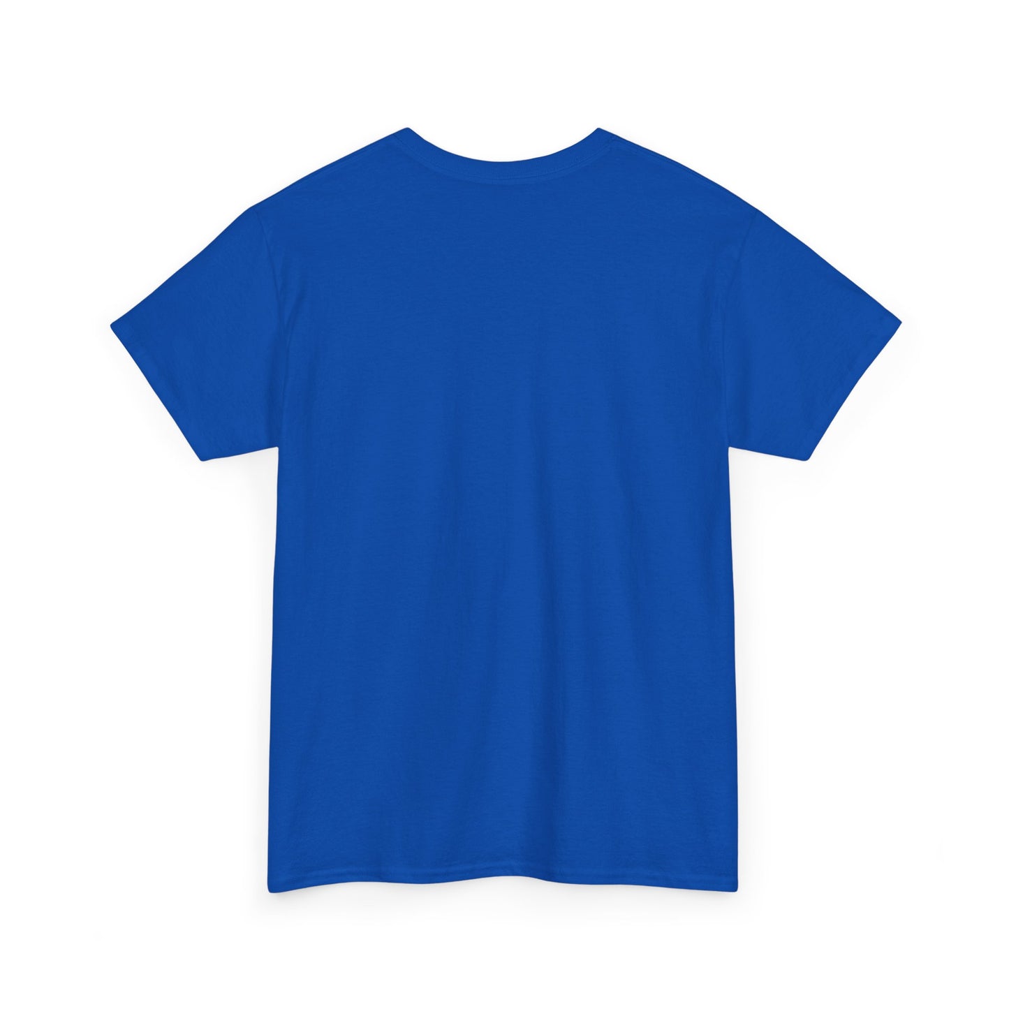 Teacher Vibes unisex t-shirt