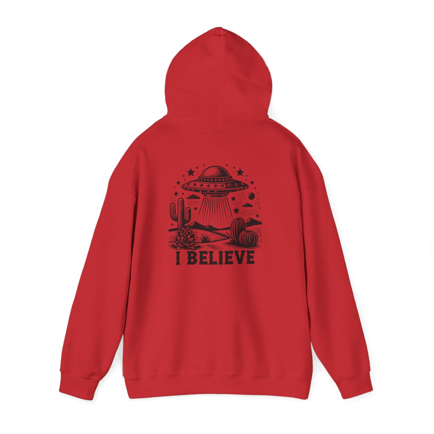 I believe ufo unisex hoodie