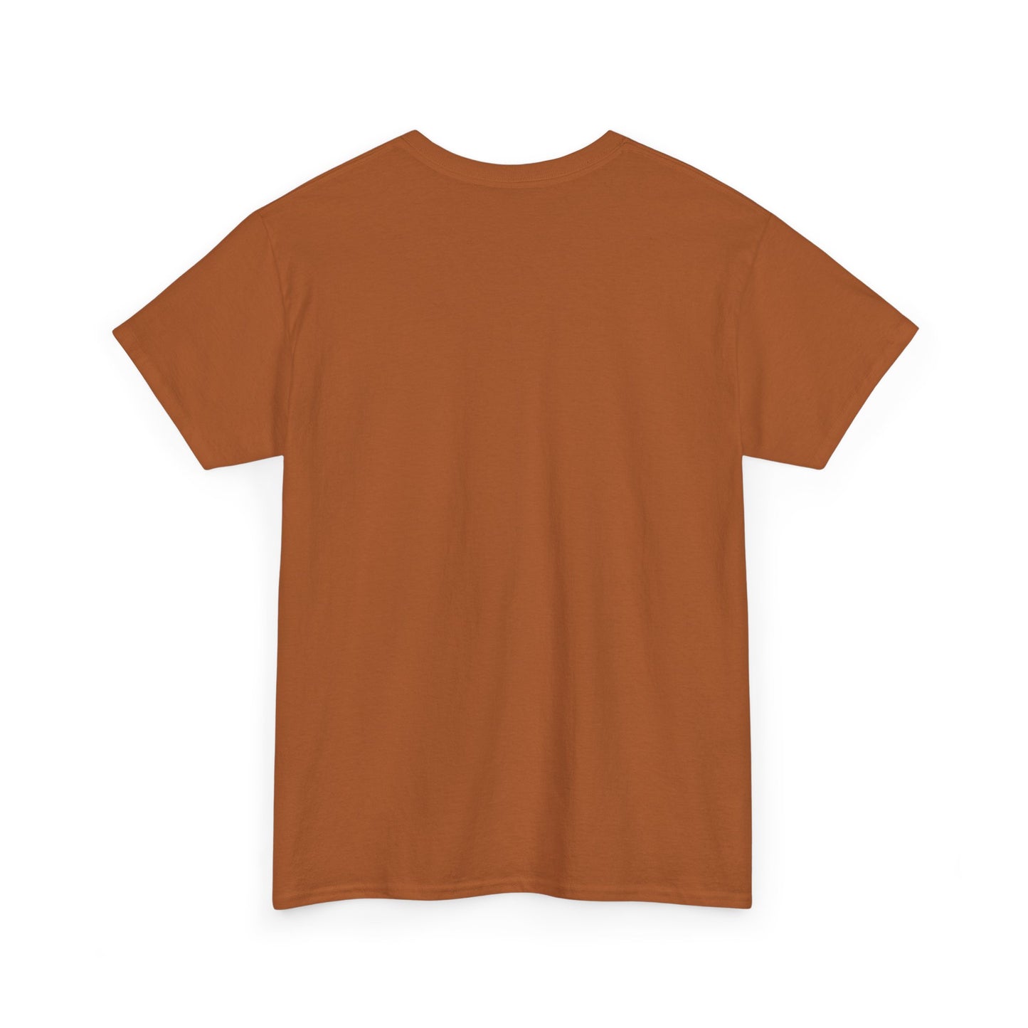 Teacher Vibes unisex t-shirt