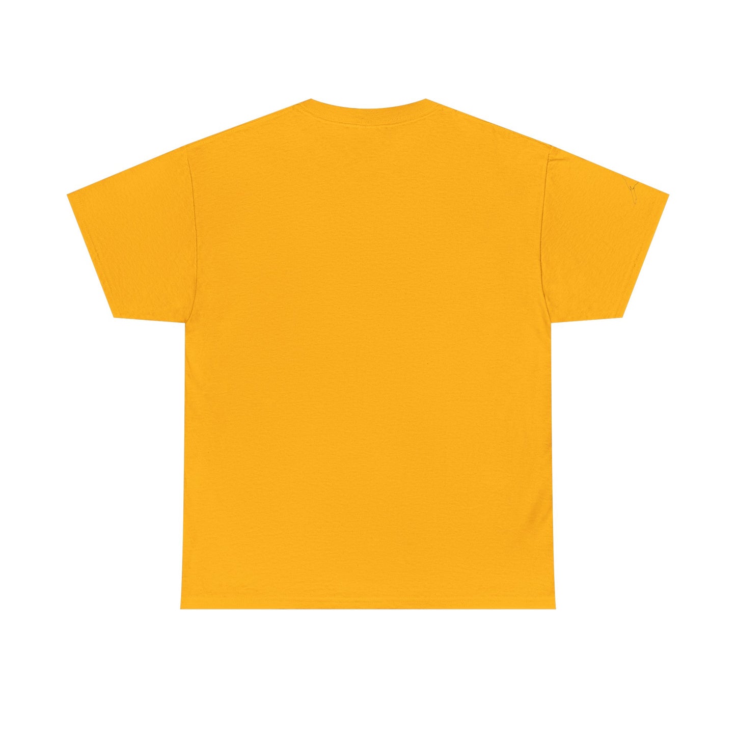 I Believe UFO Unisex Tee