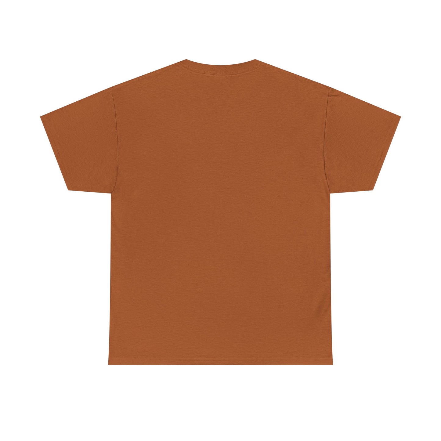 Teacher Vibes unisex t-shirt