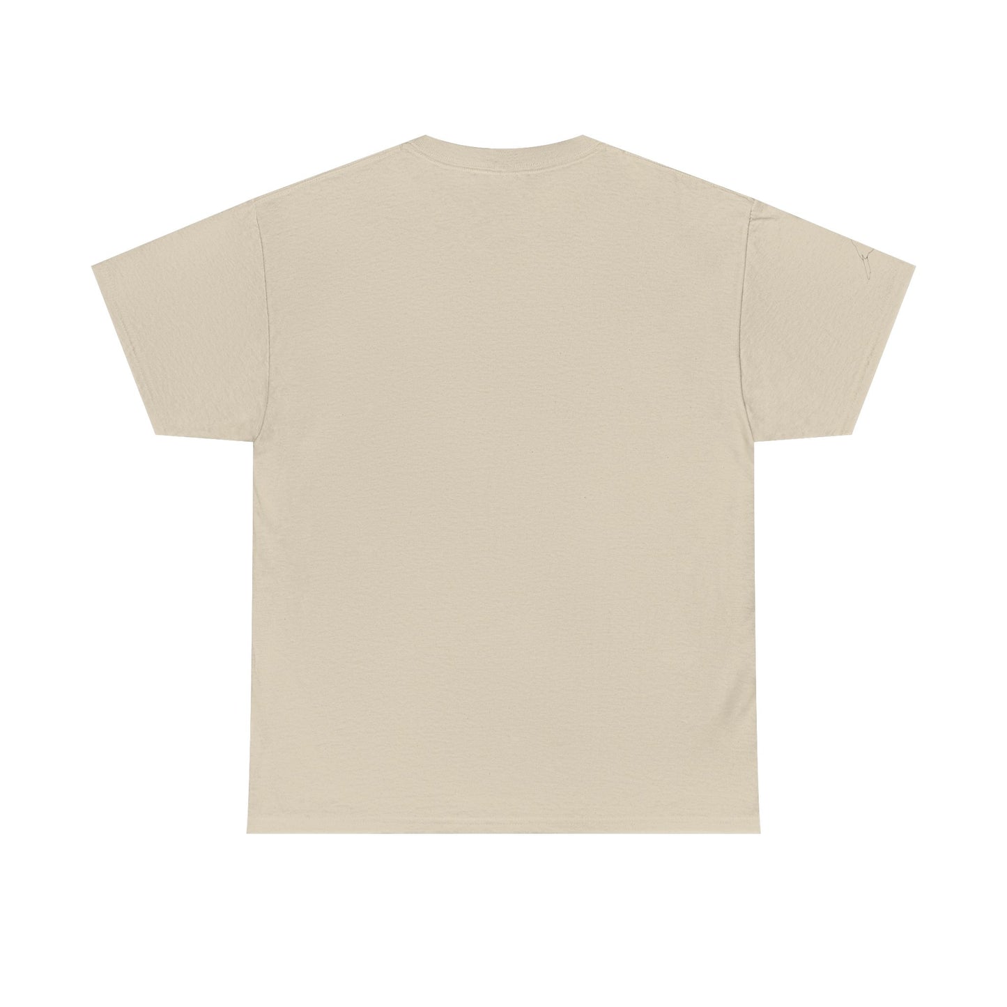 I Believe UFO Unisex Tee