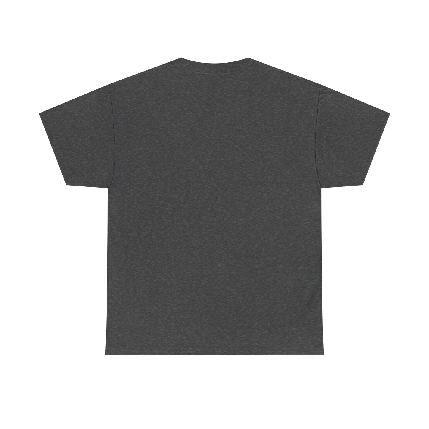 I Believe UFO Unisex Tee