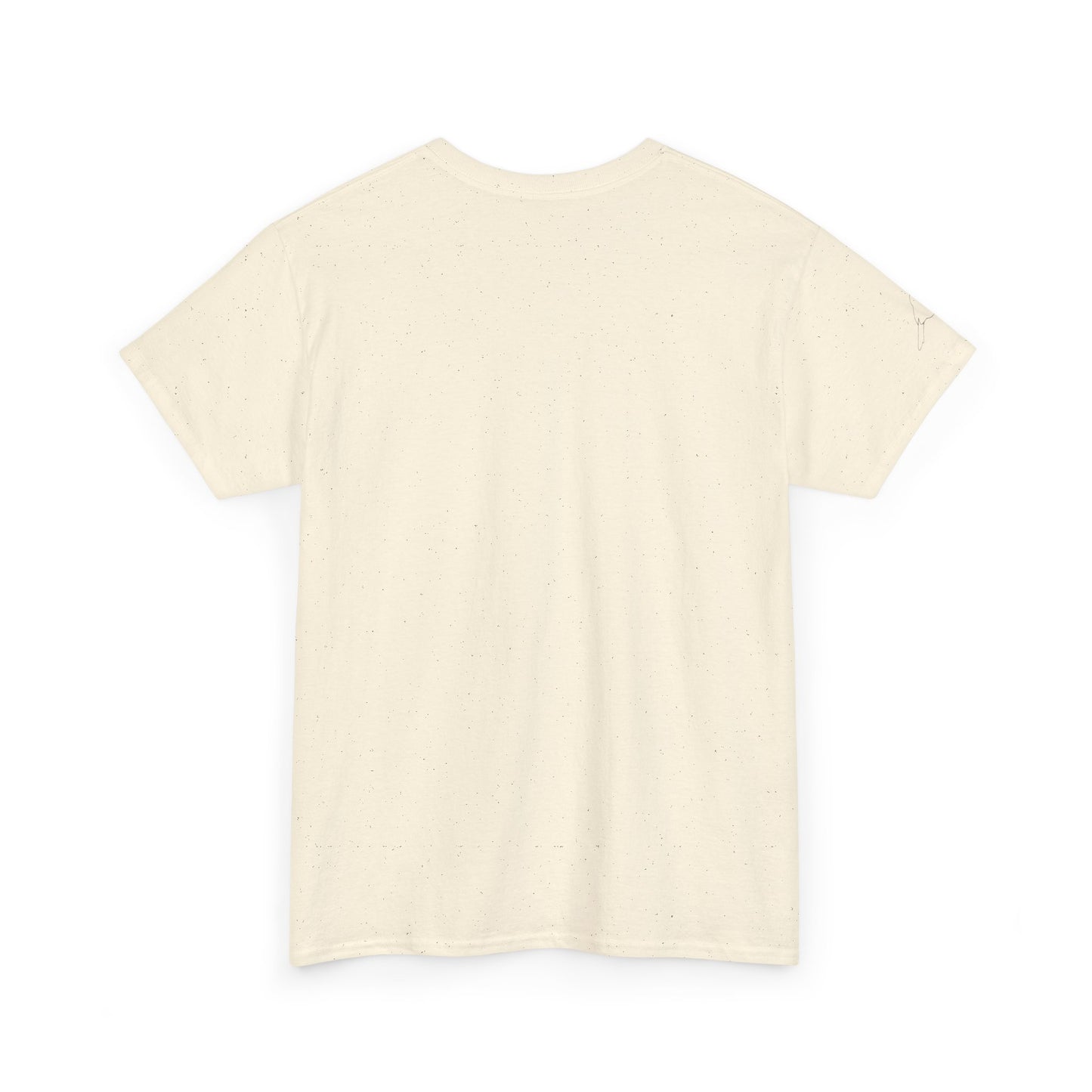 I Believe UFO Unisex Tee