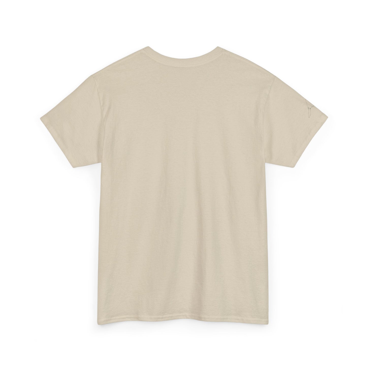 I Believe UFO Unisex Tee
