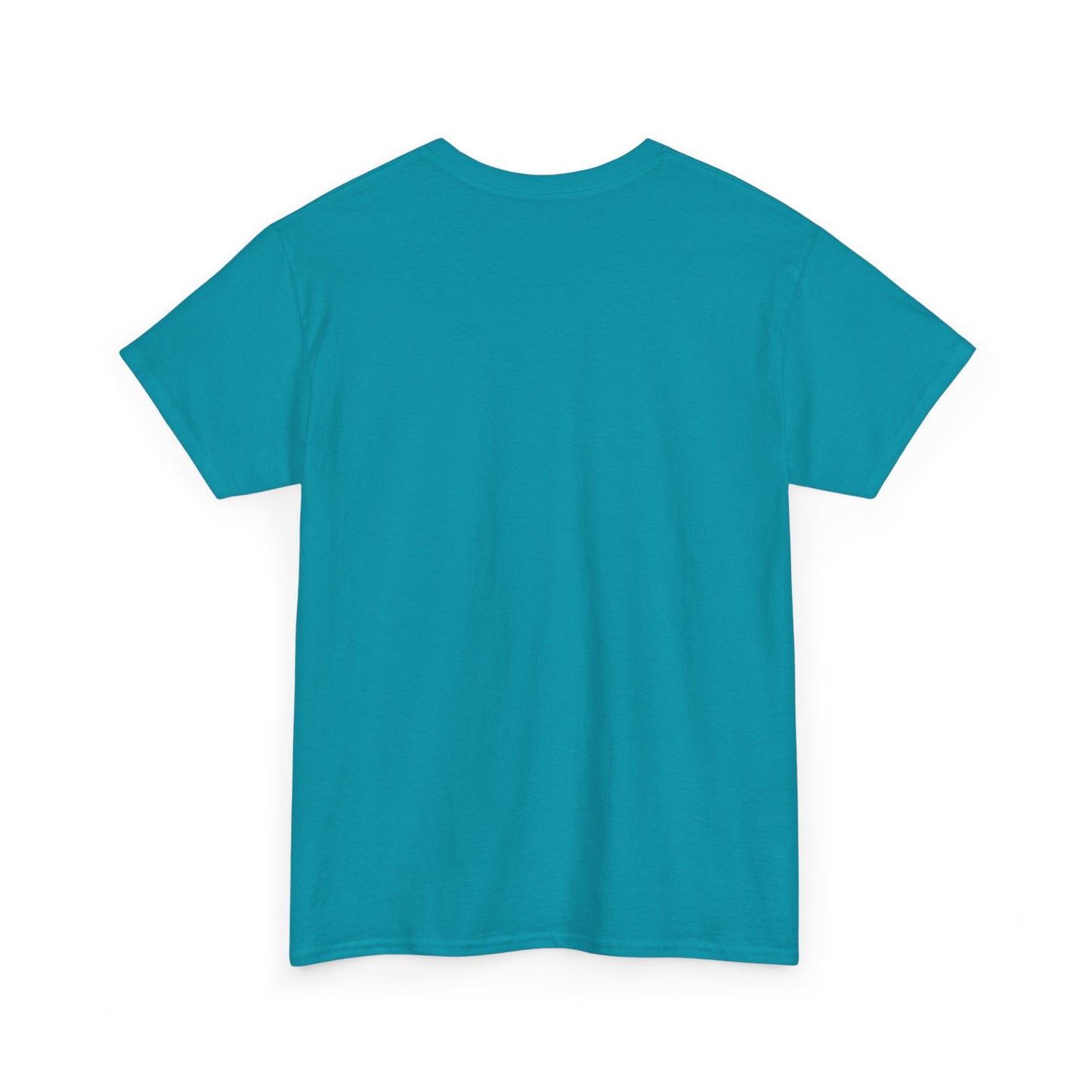 Teacher Vibes unisex t-shirt