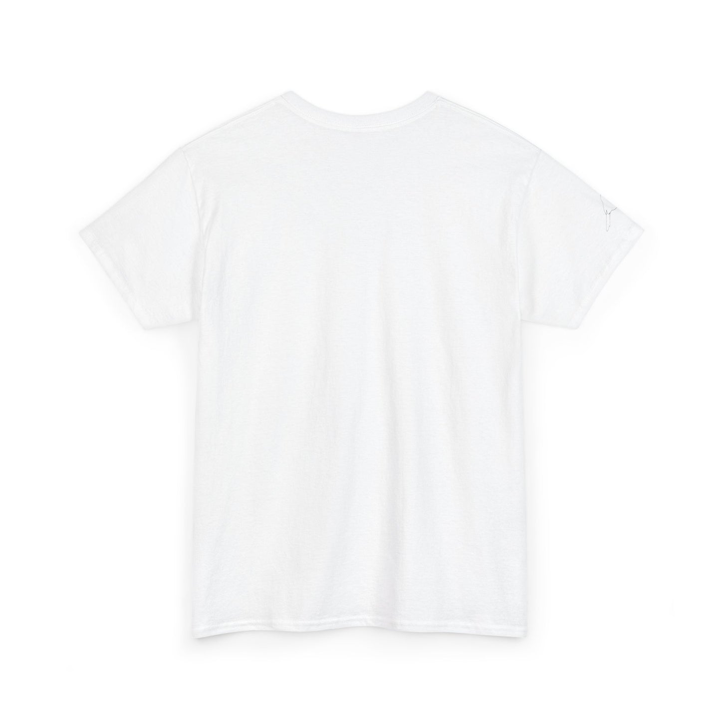 I Believe UFO Unisex Tee