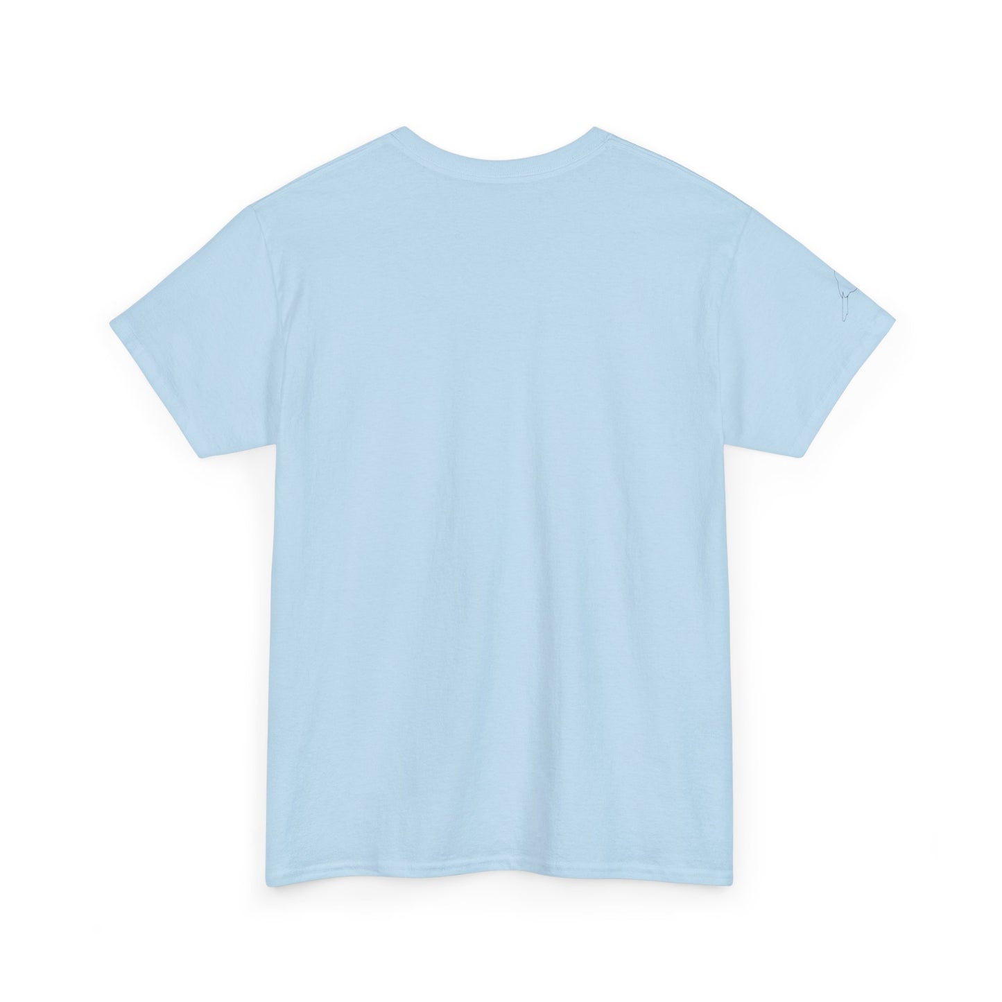 I Believe UFO Unisex Tee